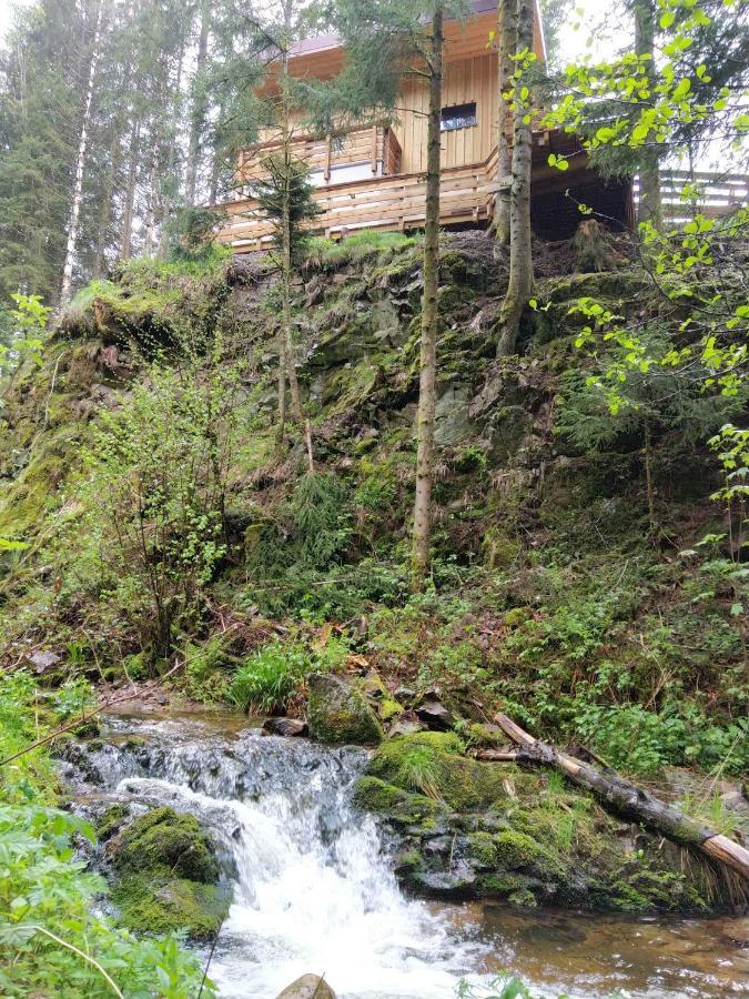Le Refuge Perche Du Saut De La Bourrique Spa, Terrain Cloture Gérardmer Exterior foto
