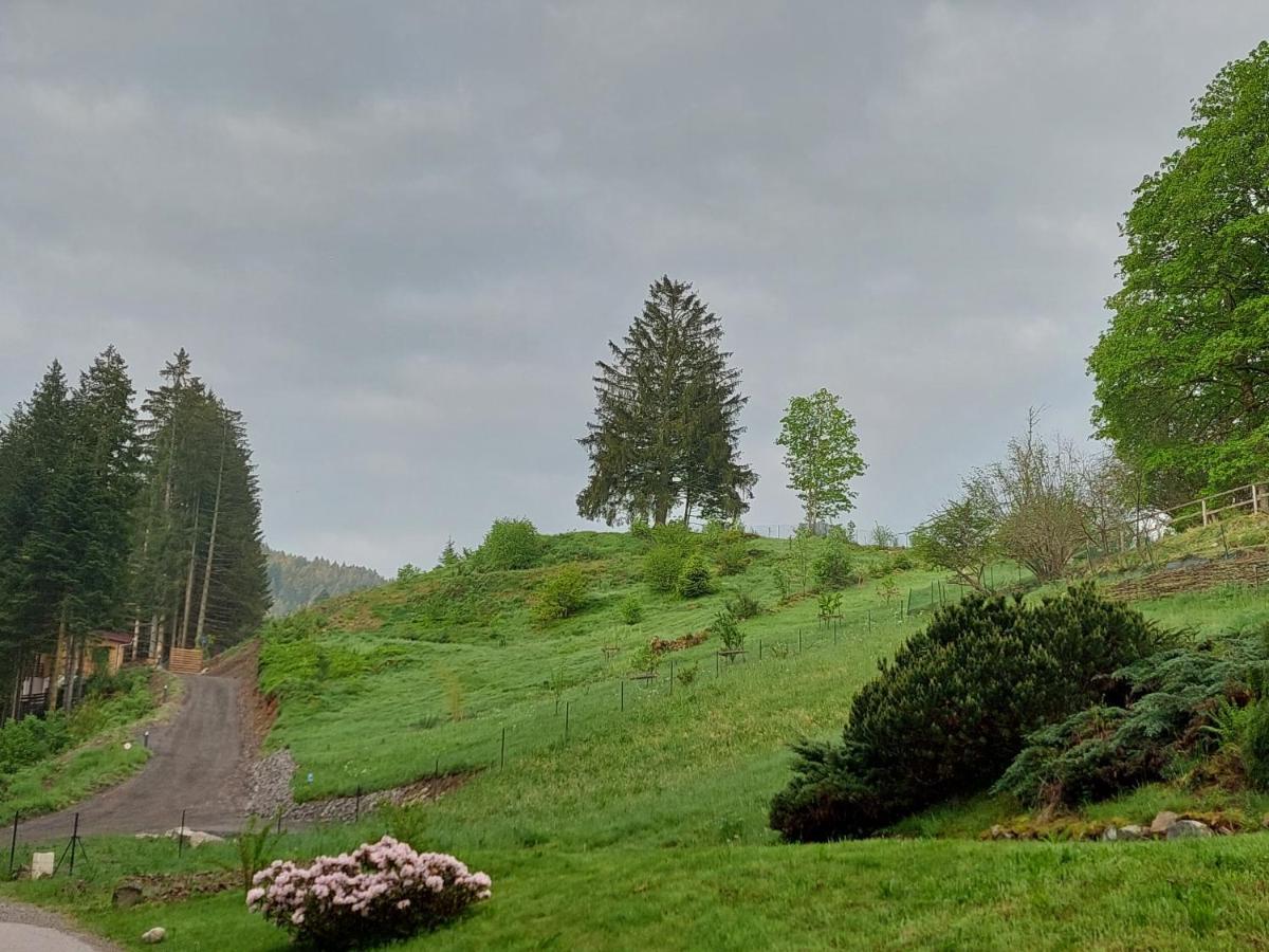 Le Refuge Perche Du Saut De La Bourrique Spa, Terrain Cloture Gérardmer Exterior foto